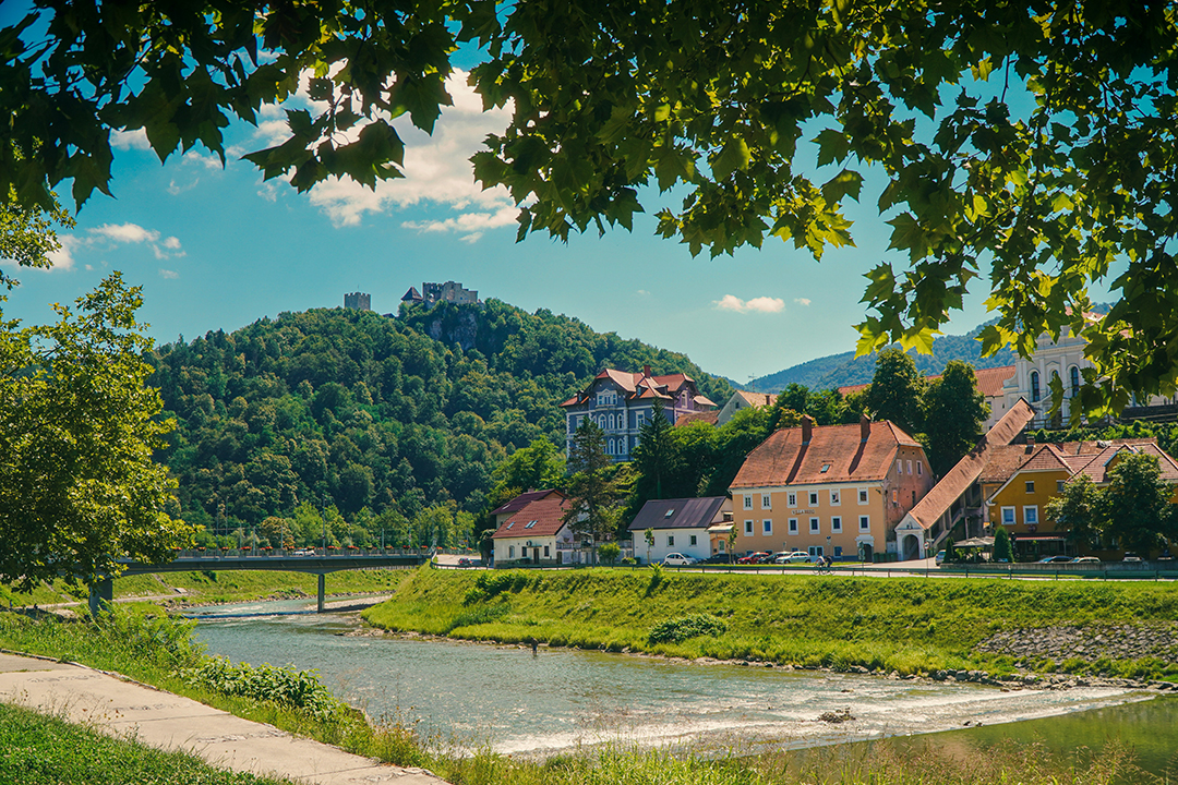 Pogled na Celje ob reki Savinji in Celjski grad na gozdnati vzpetini nad mestom.