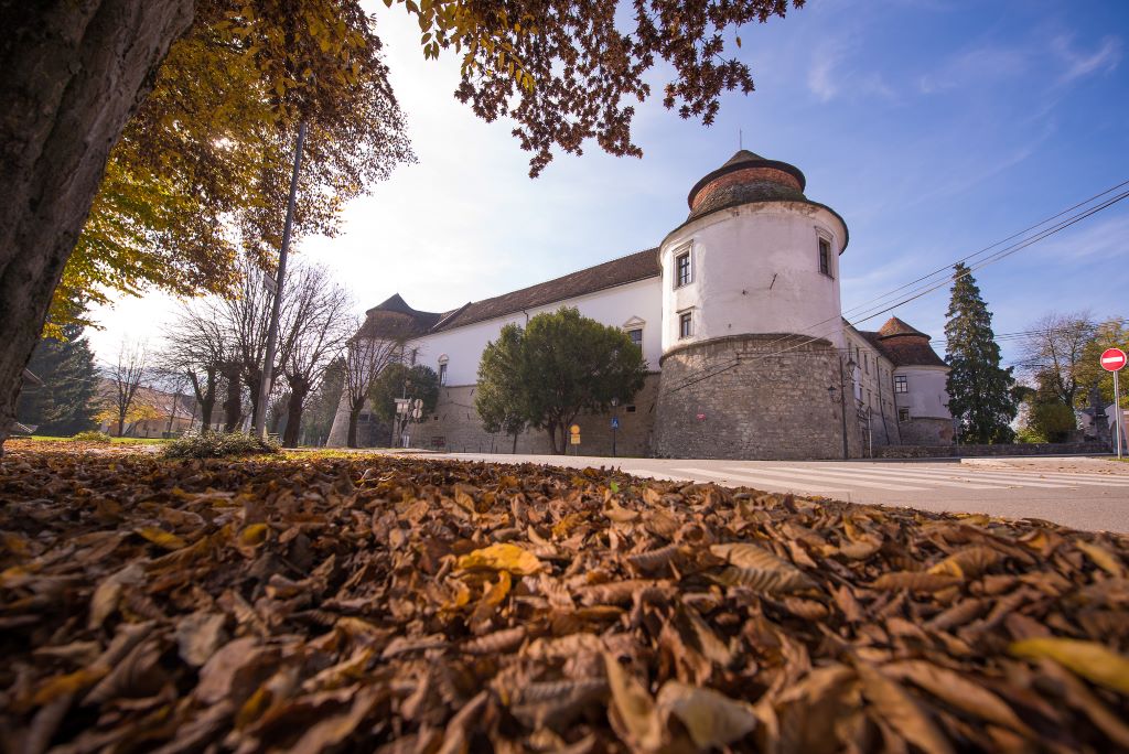 Castle_Brezice_in_autumn_-_Photographer_-_Iztok_Medja_-_Source_-_www-slovenia-info.jpg