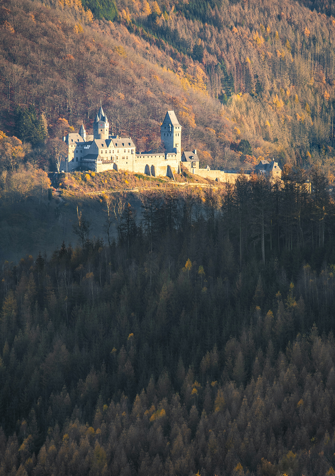 Grad_Altena_-_Altena_castle_-_Photo_by_Evgeni_Tcherkasski_on_Unsplash.jpg