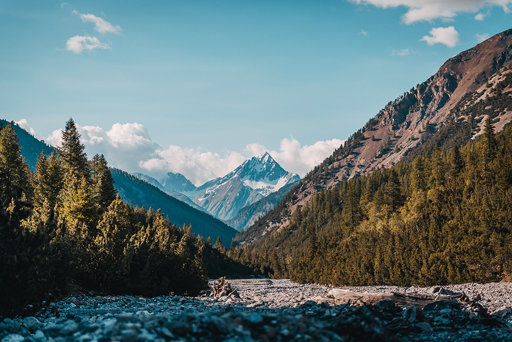 Swiss_National_Park_-_Photo_by_Janis_Wolf_on_Unsplash.jpg