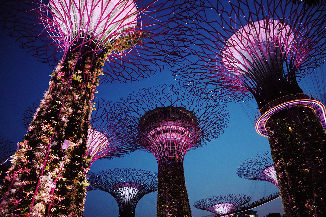 Popotniski_nasveti_za_potovanje_v_Singapur_-_Travel_tips_for_traveling_to_Singapore_-_Photo_by_Addie_from_Pexels.jpg