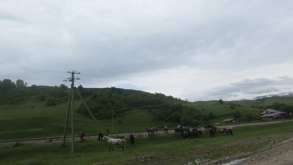 Potovanje_v_Kazahstan_-_Travel_to_Kazakhstan_25.JPG