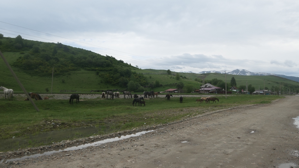 Potovanje_v_Kazahstan_-_Travel_to_Kazakhstan_26.JPG