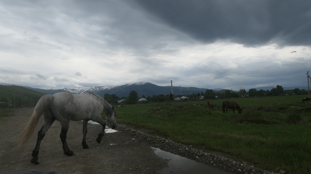Potovanje_v_Kazahstan_-_Travel_to_Kazakhstan_28.JPG