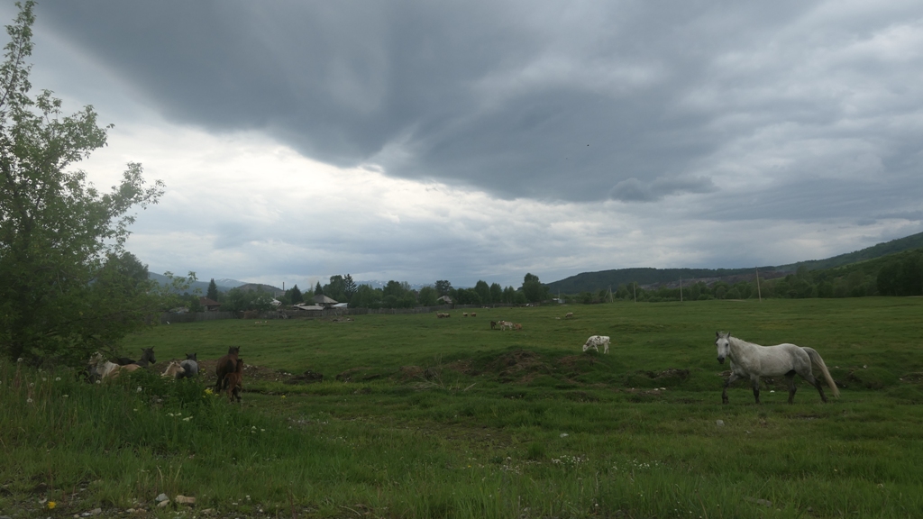 Potovanje_v_Kazahstan_-_Travel_to_Kazakhstan_29.JPG