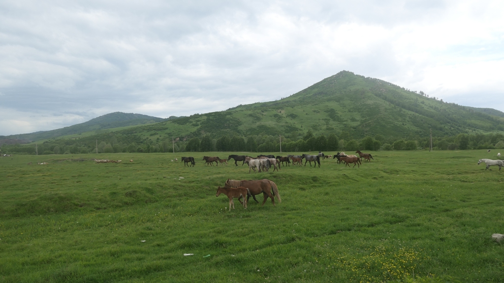 Potovanje_v_Kazahstan_-_Travel_to_Kazakhstan_30.JPG