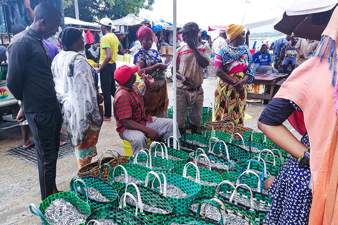 Prostovoljenje_v_Tanzaniji_-_Volunteering_in_Tanzania_4.jpg