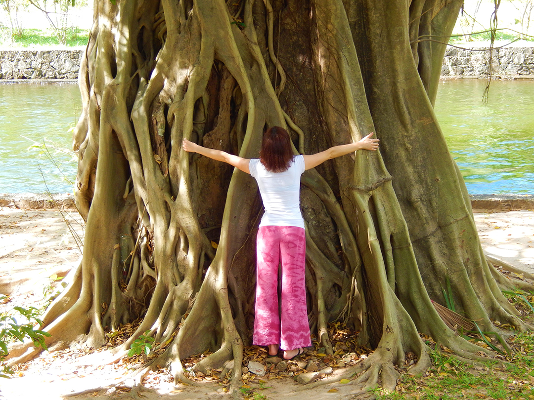 Most_beautiful_places_in_the_world_-Banyan_tree_hugging_-_Sri_Lanka.jpg