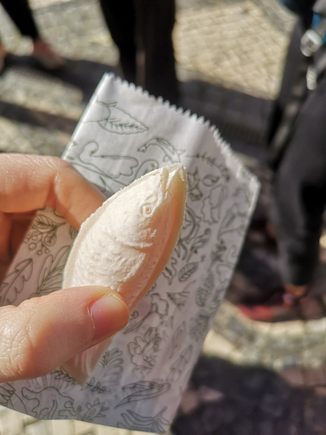 Erasmus_izkusnja_na_Portugalskem_-_Erasmus_experience_in_Portugal_7.jpg